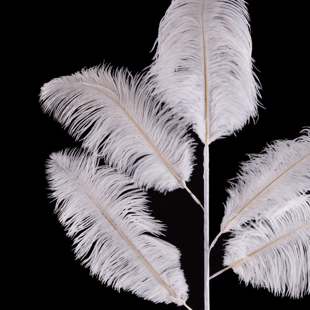 RAMA 5 HOJAS PLUMAS AVESTRUZ BLANCO 120 CM