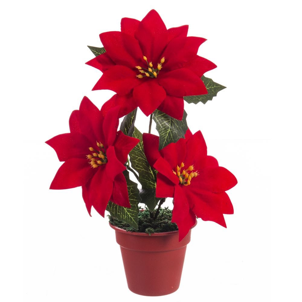 POINSETTIA DECO