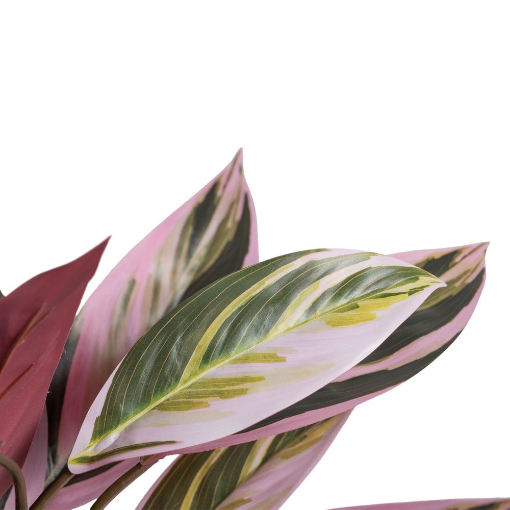 ALPINIA VERDE-ROSA "PVC" 44 X 39 X 48 CM