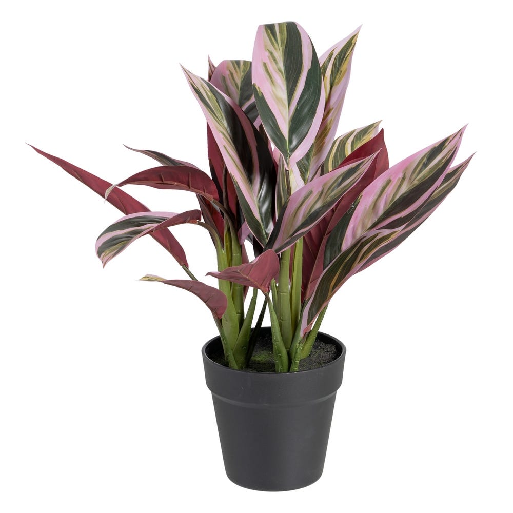 ALPINIA VERDE-ROSA "PVC" 44 X 39 X 48 CM