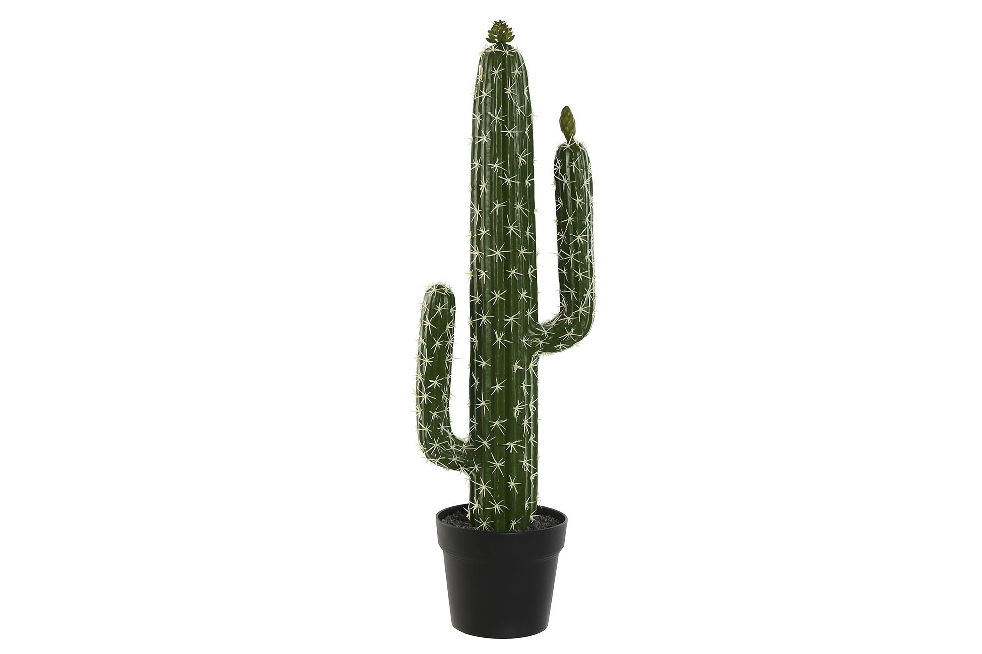 PLANTA FOAM PP 21X16X70 CACTUS VERDE