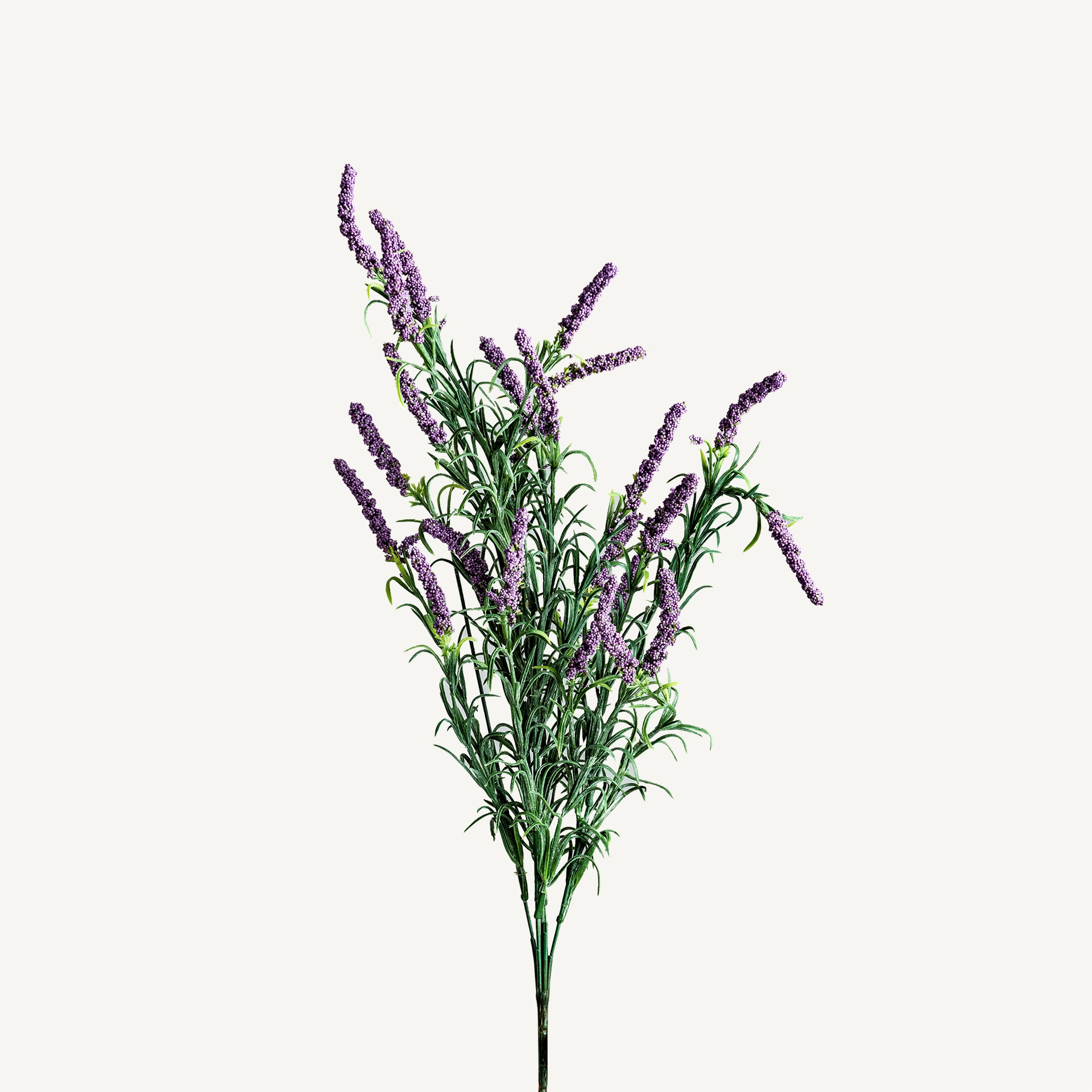 FLOR LAVANDA