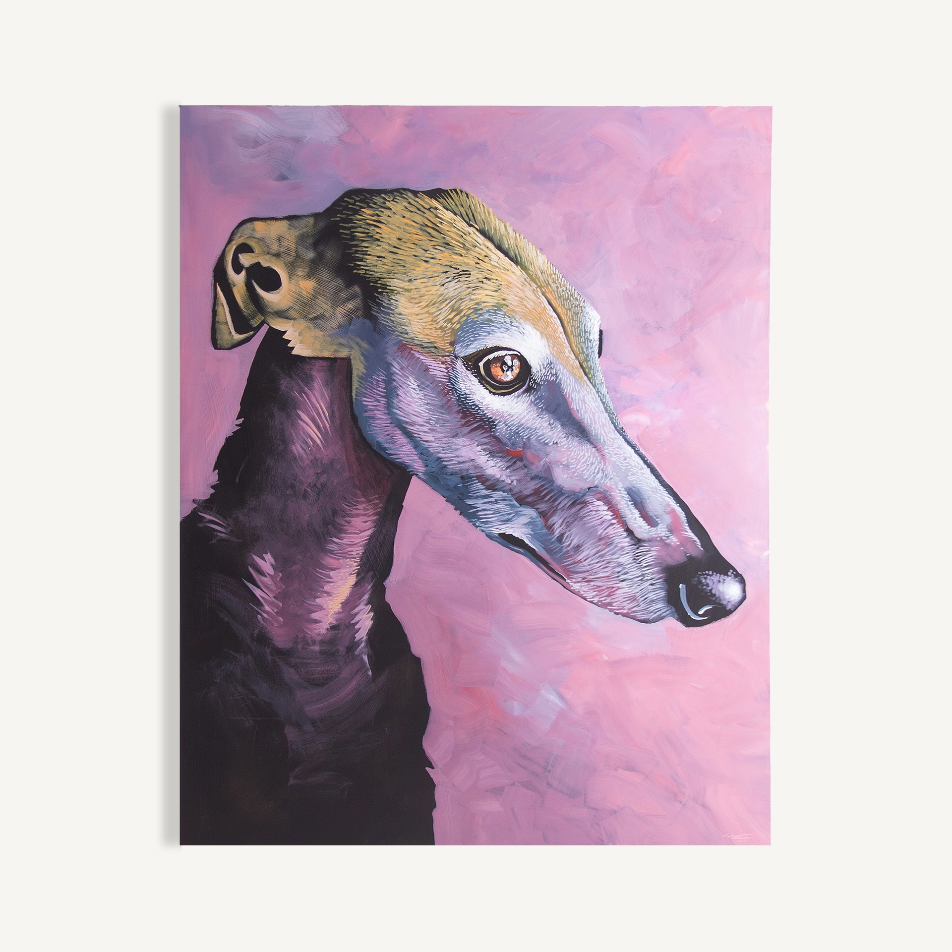 LIENZO GALGO